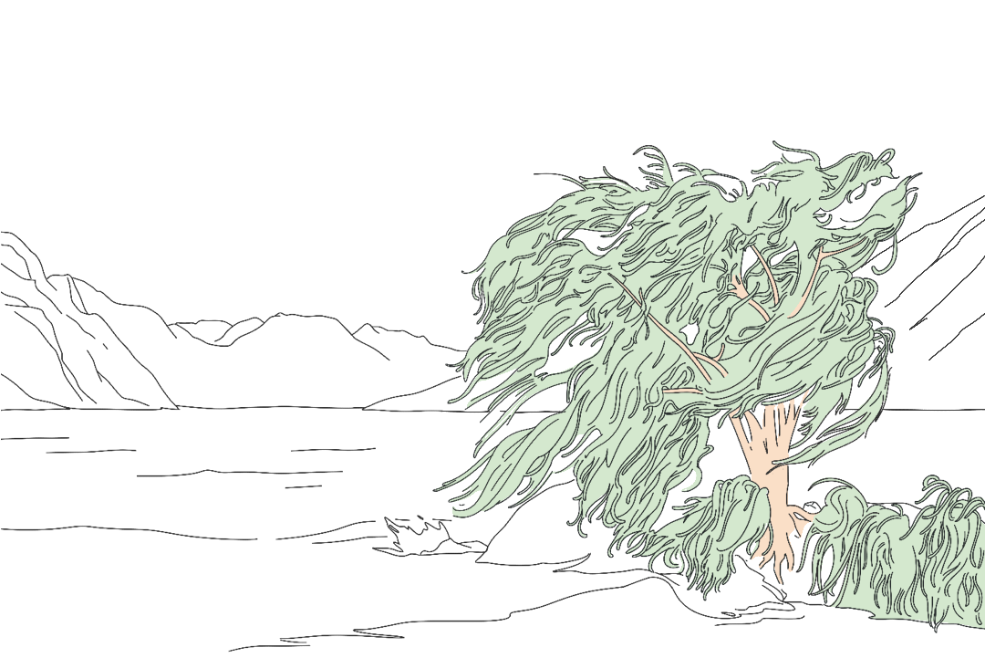 Flexible tree bending in wind—resilience in practice.